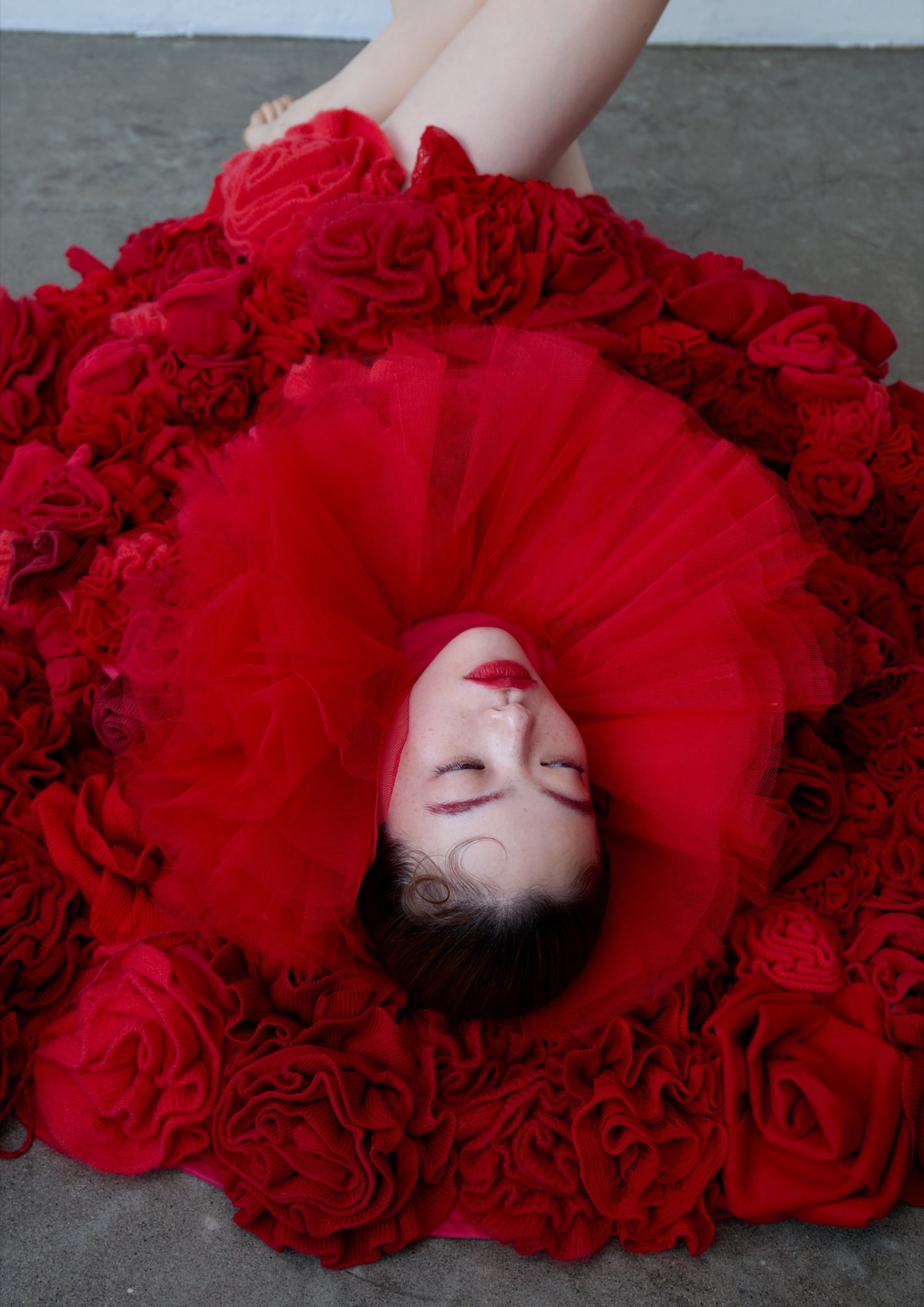 The Red Lie by Yukie Sugano